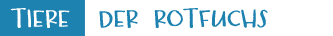 Der  Rotfuchs